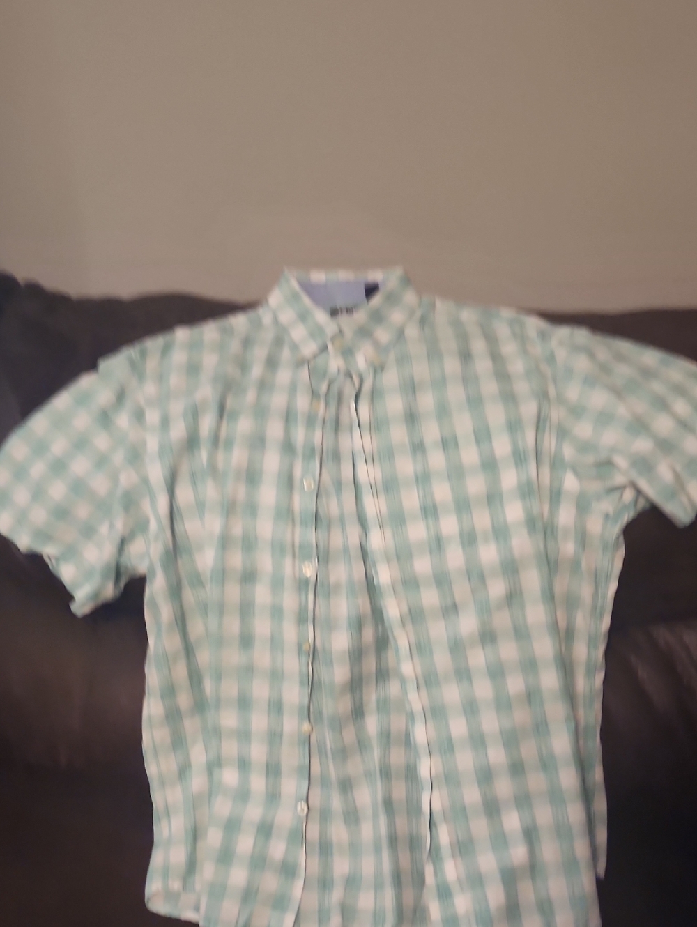 Izod Men's Mint Green and White Check Short-Sleeve Button-Down Shirt